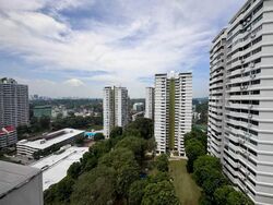 Braddell View (D20), Apartment #546007941